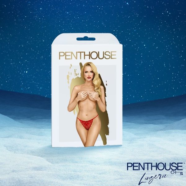 Satisfyer - Premium Advent Calendar 2025